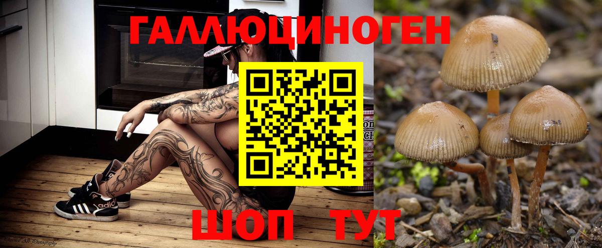 Губаха  Галлюциногенные грибы прущие грибы  Вход с VPN  Галлюциногенные грибы MAGIC MUSHROOMS 